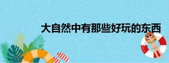 大自然中有那些好玩的东西