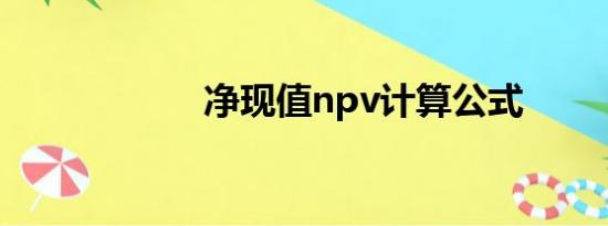 净现值npv计算公式