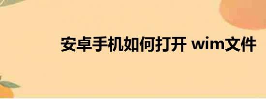 安卓手机如何打开 wim文件