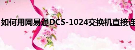 如何用网易通DCS-1024交换机直接连入网络