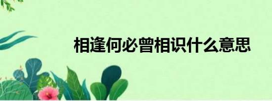 相逢何必曾相识什么意思