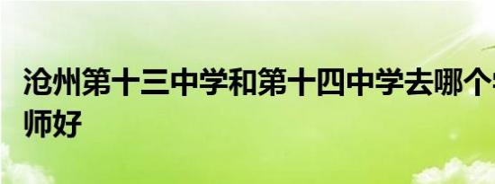 沧州第十三中学和第十四中学去哪个学校当老师好