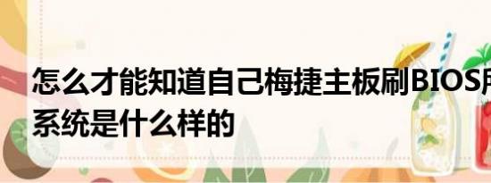 怎么才能知道自己梅捷主板刷BIOS所需要的系统是什么样的