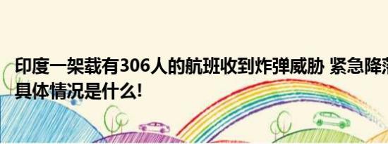 印度一架载有306人的航班收到炸弹威胁 紧急降落孟买机场 具体情况是什么!