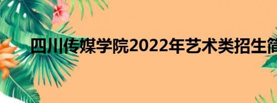 四川传媒学院2022年艺术类招生简章