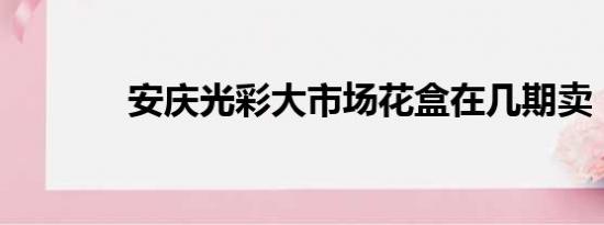 安庆光彩大市场花盒在几期卖