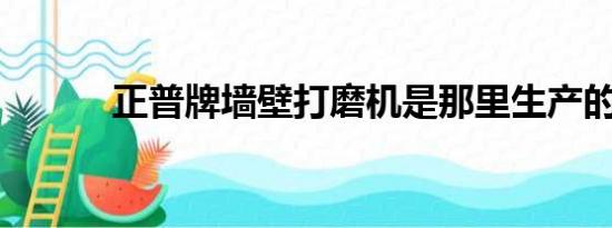 正普牌墙壁打磨机是那里生产的