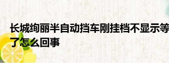 长城绚丽半自动挡车刚挂档不显示等3秒就有了怎么回事