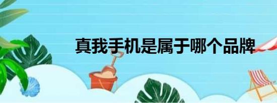 真我手机是属于哪个品牌