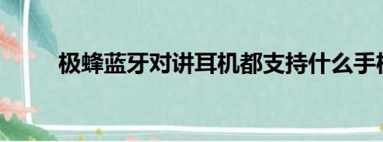 极蜂蓝牙对讲耳机都支持什么手机