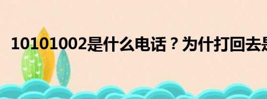 10101002是什么电话？为什打回去是空号