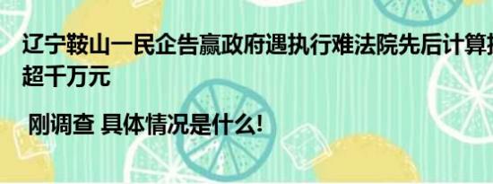 辽宁鞍山一民企告赢政府遇执行难法院先后计算执行款差额超千万元 | 刚调查 具体情况是什么!