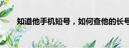 知道他手机短号，如何查他的长号？