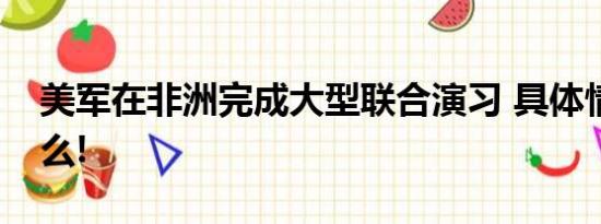 美军在非洲完成大型联合演习 具体情况是什么!