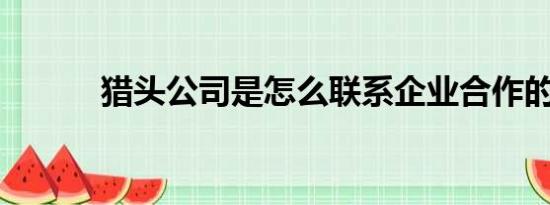 猎头公司是怎么联系企业合作的