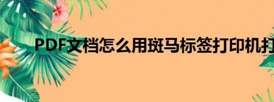 PDF文档怎么用斑马标签打印机打印