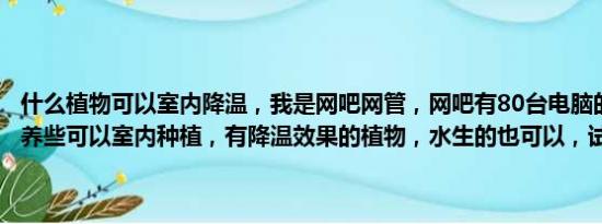 什么植物可以室内降温，我是网吧网管，网吧有80台电脑的位置，我想养些可以室内种植，有降温效果的植物，水生的也可以，试问谁有？