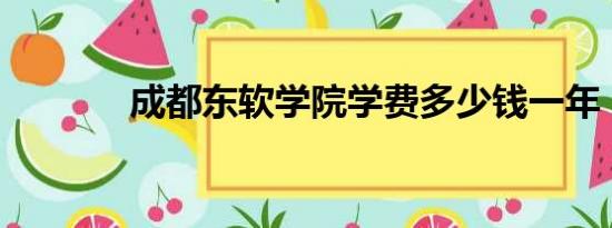 成都东软学院学费多少钱一年