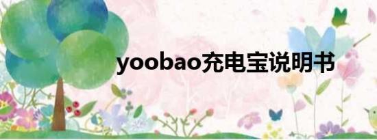 yoobao充电宝说明书