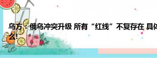 乌方：俄乌冲突升级 所有“红线”不复存在 具体情况是什么!