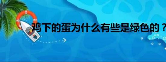 鸡下的蛋为什么有些是绿色的？