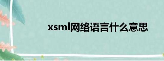 xsml网络语言什么意思