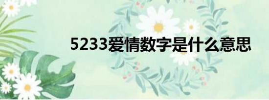 5233爱情数字是什么意思