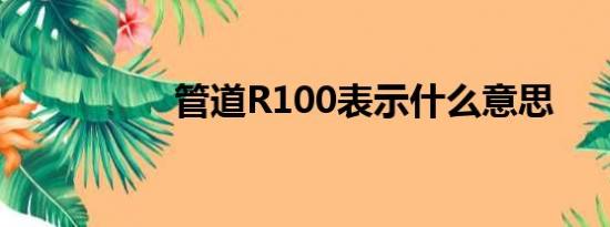 管道R100表示什么意思