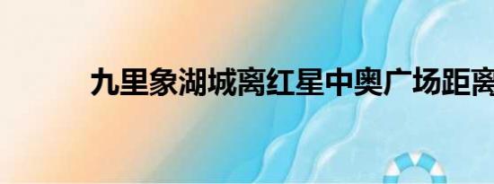 九里象湖城离红星中奥广场距离