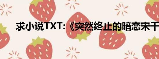 求小说TXT:《突然终止的暗恋宋千渝》