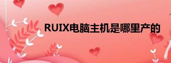 RUIX电脑主机是哪里产的