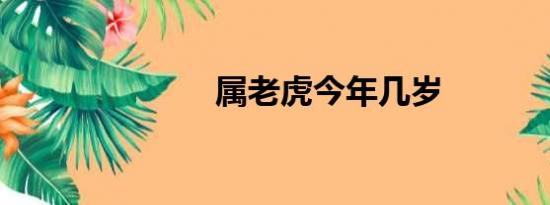 属老虎今年几岁