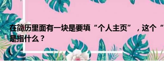 在简历里面有一块是要填“个人主页”，这个“个人主页”是指什么？