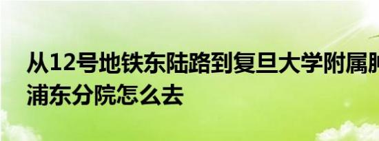 从12号地铁东陆路到复旦大学附属肿瘤医院浦东分院怎么去