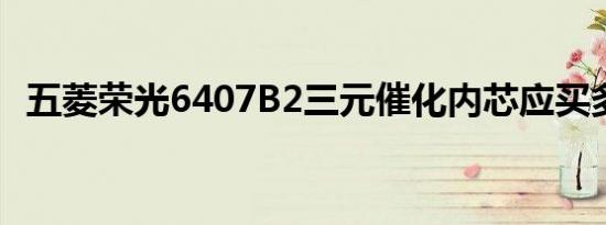 五菱荣光6407B2三元催化内芯应买多大的