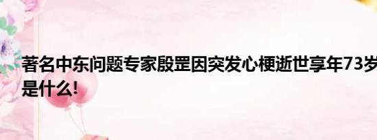 著名中东问题专家殷罡因突发心梗逝世享年73岁 具体情况是什么!