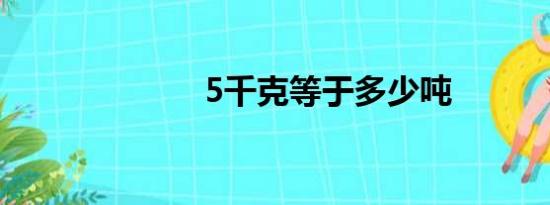 5千克等于多少吨