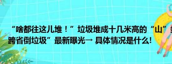 “啥都往这儿堆！”垃圾堆成十几米高的“山”多地发现“跨省倒垃圾”最新曝光→ 具体情况是什么!