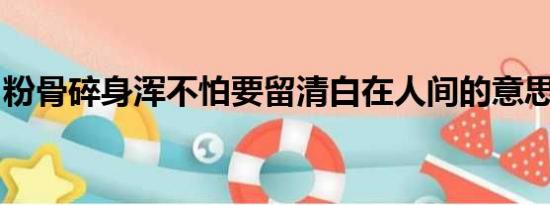 粉骨碎身浑不怕要留清白在人间的意思是什么