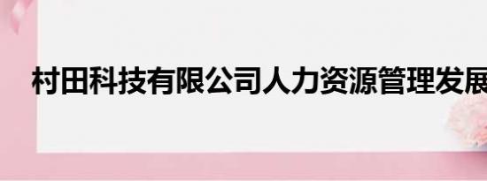 村田科技有限公司人力资源管理发展历程