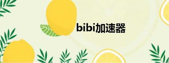 bibi加速器