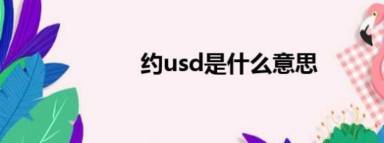 约usd是什么意思