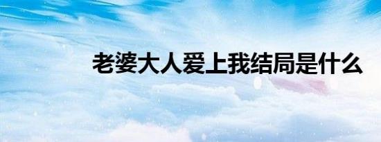 老婆大人爱上我结局是什么