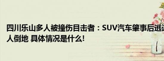 四川乐山多人被撞伤目击者：SUV汽车肇事后逃逸大概5至6人倒地 具体情况是什么!