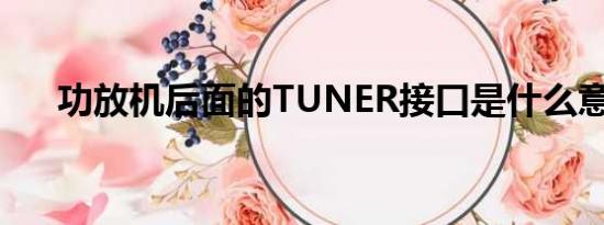 功放机后面的TUNER接口是什么意思?