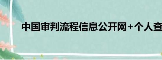 中国审判流程信息公开网+个人查询