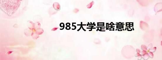 985大学是啥意思