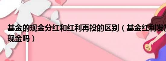 基金的现金分红和红利再投的区别（基金红利发放是直接给现金吗）