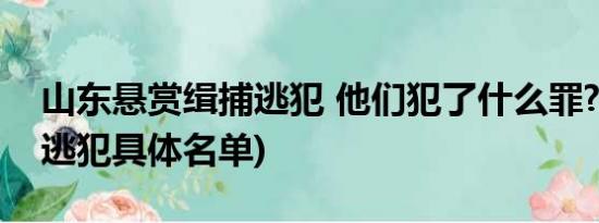 山东悬赏缉捕逃犯 他们犯了什么罪?(附50名逃犯具体名单)