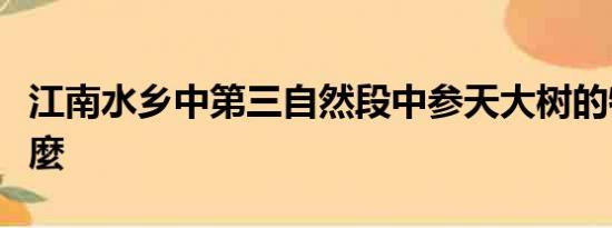 江南水乡中第三自然段中参天大树的特点是什麼